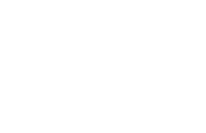 Logo BLCN