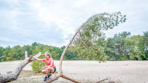 Leefstijlcoach voor meer energie en rust – Easy Breezy Leefstijlcoach voor meer energie en rust – Easy Breezy
